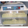 China Solar Eggs Incubator India